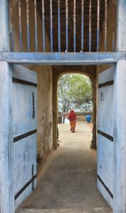 Illustration of Zanzibar Travel Guide: Stunning Beaches, Spices & Unmissable Stone Town